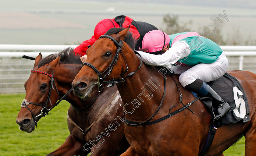 Monarchs-Glen-0005 
 MONARCHS GLEN (right, Robert Tart) beats WHAT ABOUT CARLO (left) in The EBF Stallions Foundation Stakes Goodwood 27 Sep 2017 - Pic Steven Cargill / Racingfotos.com