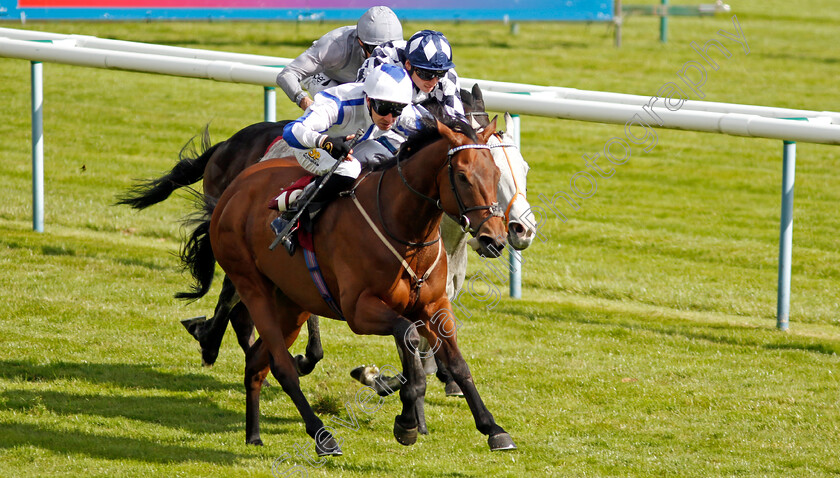 Buccabay-0002 
 BUCCABAY (Charles Bishop) wins The Betfred Join Our Sports Club Reverence Handicap
Haydock 8 Jun 2024 - Pic Steven Cargill / Racingfotos.com