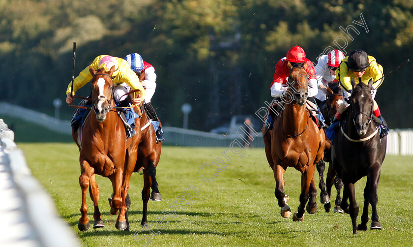 Naughty-Rascal-0004 
 NAUGHTY RASCAL (left, Tom Marquand) beats CHYNNA (right) in The Myddleton & Major Conditions Stakes
Salisbury 3 Oct 2018 - Pic Steven Cargill / Racingfotos.com