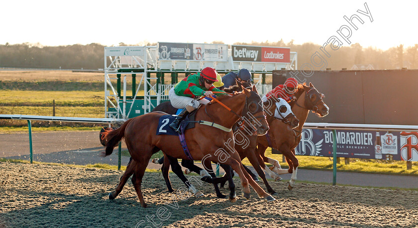 Outrage-0001 
 OUTRAGE (Richard Kingscote) wins The Heed Your Hunch At Betway Handicap
Lingfield 26 Feb 2021 - Pic Steven Cargill / Racingfotos.com