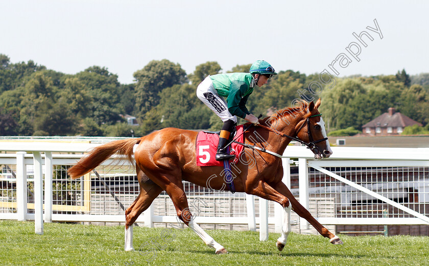 Green-Etoile-0001 
 GREEN ETOILE (David Egan)
Sandown 6 Jul 2018 - Pic Steven Cargill / Racingfotos.com