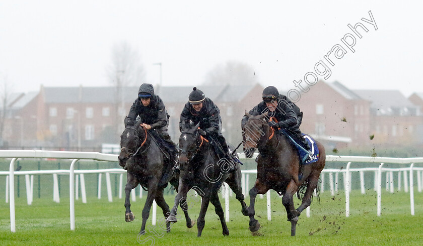 Champ,-Shishkin-and-Chantry-House-0001 
 CHAMP (right, A P McCoy) and SHISHKIN (centre, Nico de Boinville) and CHANTRY HOUSE (left, A P Heskin) at Coral Gold Cup Weekend Gallops Morning
Newbury 15 Nov 2022 - Pic Steven Cargill / Racingfotos.com