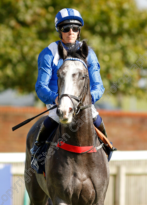 Ribhi-0001 
 RIBHI (Jim Crowley)
Newmarket 23 Sep 2021 - Pic Steven Cargill / Racingfotos.com