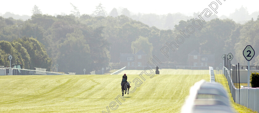 Cannonball-0011 
 CANNONBALL preparing for Royal Ascot
Ascot 14 Jun 2023 - Pic Steven Cargill / Racingfotos.com