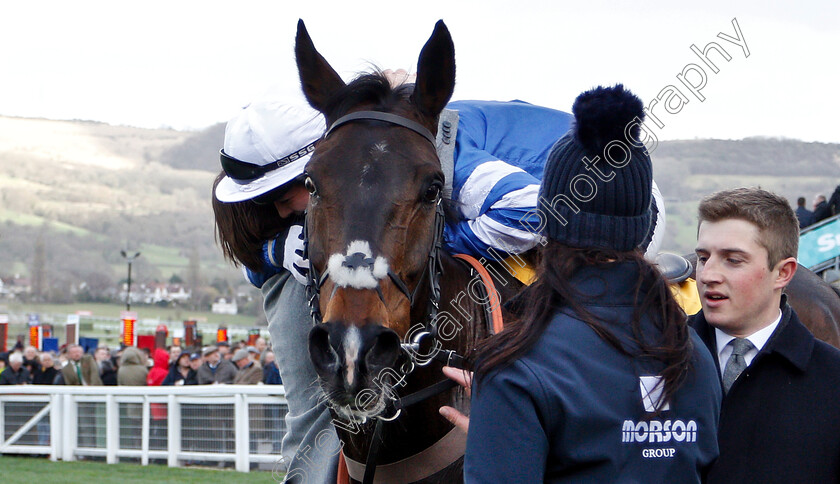 Frodon-0010 
 FRODON (Bryony Frost) after the Ryanair Chase
Cheltenham 14 Mar 2019 - Pic Steven Cargill / Racingfotos.com