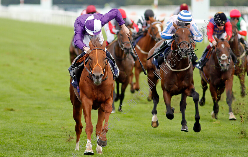 Thunder-Max-0007 
 THUNDER MAX (Rossa Ryan) wins The Coopers Marquees Maiden Stakes
Doncaster 10 Sep 2021 - Pic Steven Cargill / Racingfotos.com