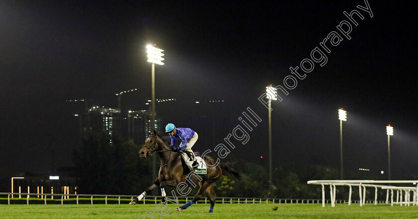 Stars-On-Earth-0002 
 STARS ON EARTH training for The Sheema Classic
Meydan Dubai 27 Mar 2024 - Pic Steven Cargill / Racingfotos.com