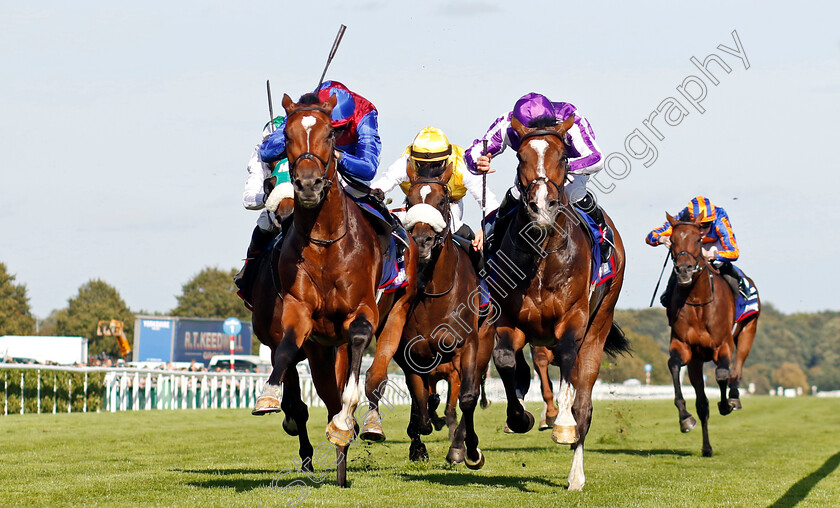 Jan-Brueghel-0003 
 JAN BRUEGHEL (left, Sean Levey) beats ILLINOIS (right) in The Betfred St Leger Stakes
Doncaster 14 Sep 2024 - Pic Steven Cargill / Racingfotos.com