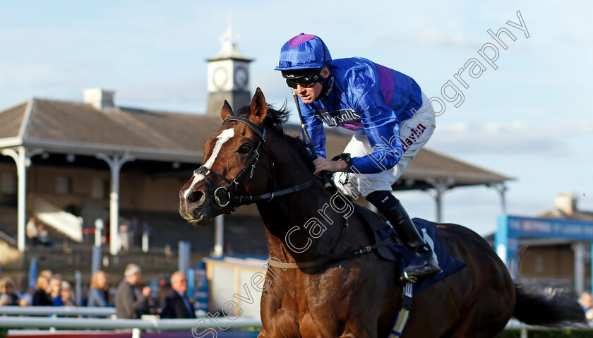 Shout-0005 
 SHOUT (Robert Havlin) wins The Believe Money Confined Nursery
Doncaster 13 Sep 2024 - Pic Steven Cargill / Racingfotos.com