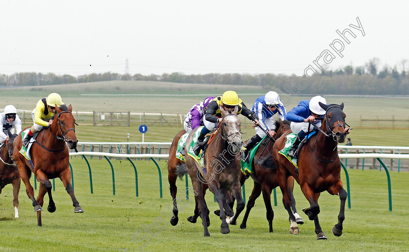 Majestic-Pride-0003 
 MAJESTIC PRIDE (right, William Buick) beats HOLGUIN (2nd right) in The bet365 British EBF Conditions Stakes
Newmarket 18 Apr 2023 - Pic Steven Cargill / Racingfotos.com