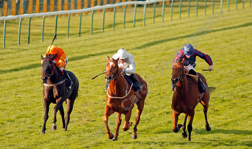 Poet s-Society-0001 
 POET'S SOCIETY (centre, Jim Crowley) beats MAGICAL DREAMER (right) and ANNIE SALTS (left) in The Wainwright Golden Ale Handicap Yarmouth 19 Sep 2017 - Pic Steven Cargill / Racingfotos.com