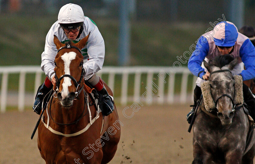 Aventuriere-0005 
 AVENTURIERE (Franny Norton) wins The chelmsfordcityracecourse.com Handicap
Chelmsford 1 Apr 2021 - Pic Steven Cargill / Racingfotos.com