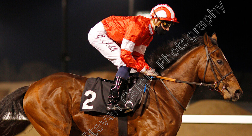 La-Tihaty-0005 
 LA TIHATY (Cameron Noble) winner of The Support The Injured Jockeys Fund Novice Stakes
Chelmsford 22 Jan 2021 - Pic Steven Cargill / Racingfotos.com