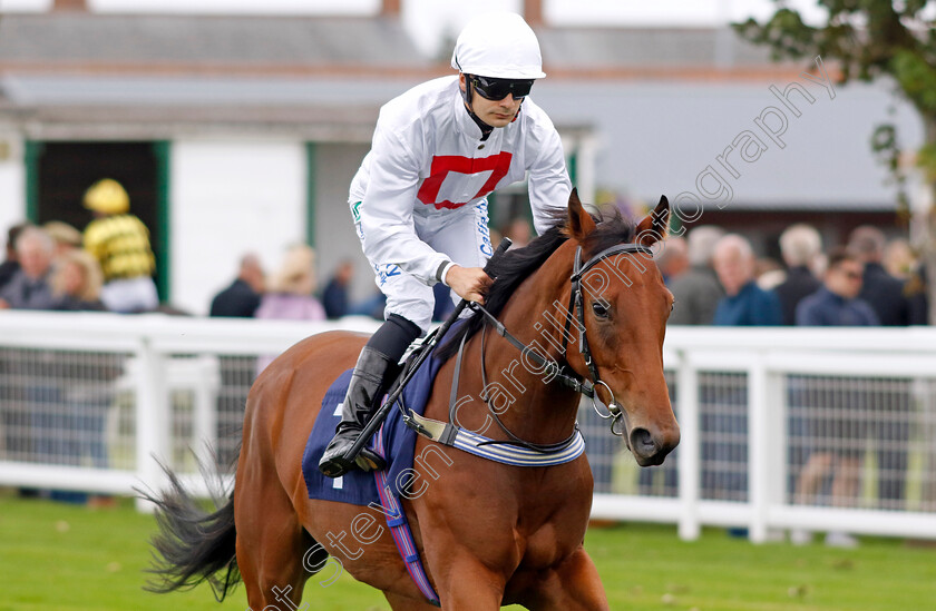 Kurimu-0001 
 KURIMU (Stefano Cherchi)
Yarmouth 20 Sep 2023 - Pic Steven Cargill / Racingfotos.com