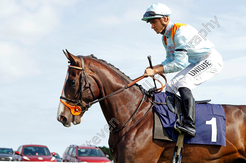 Blindedbythelights-0001 
 BLINDEDBYTHELIGHTS (Thore Hammer Hansen)
Yarmouth 14 Sep 2022 - Pic Steven Cargill / Racingfotos.com