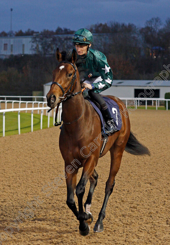 Dima-0001 
 DIMA (Daniel Muscutt) 
Wolverhampton 26 Nov 2019 - Pic Steven Cargill / Racingfotos.com