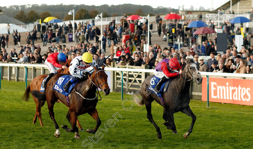 Funny-Story-0004 
 FUNNY STORY (right, Rossa Ryan) beats SOPHIA'S STARLIGHT (left) in the British EBF Boadicea Stakes
Newmarket 14 Oct 2023 - Pic Steven Cargill / Racingfotos.com