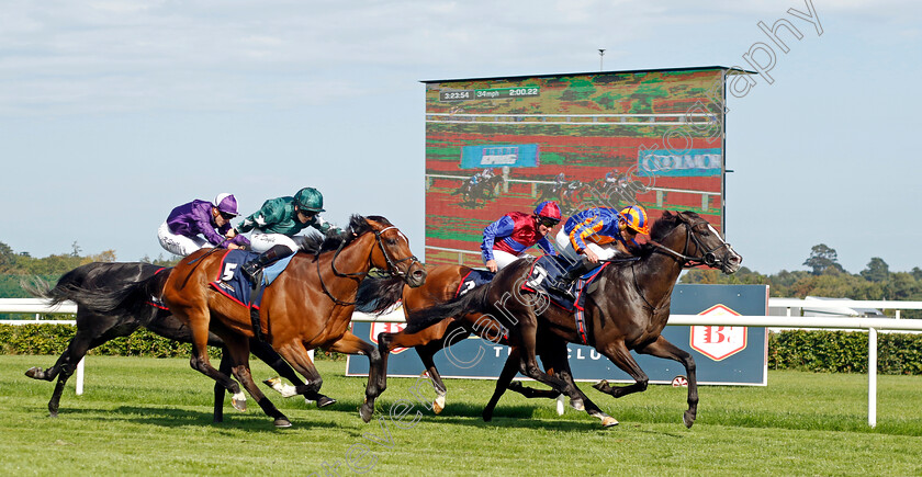 Auguste-Rodin-0005 
 AUGUSTE RODIN (Ryan Moore) beats NASHWA (left) in The Royal Bahrain Irish Champion Stakes
Leopardstown 9 Sep 2023 - Pic Steven Cargill / Racingfotos.com