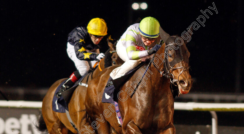 Mount-Wellington-0003 
 MOUNT WELLINGTON (Rob Hornby) wins The Betway Handicap
Wolverhampton 13 Jan 2020 - Pic Steven Cargill / Racingfotos.com