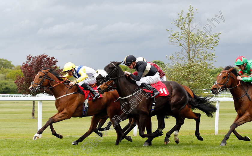 Leodis-Dream-0002 
 LEODIS DREAM (left, Daniel Tudhope) beats PASS THE GIN (right) in The bet365 Handicap
Sandown 26 Apr 2019 - Pic Steven Cargill / Racingfotos.com