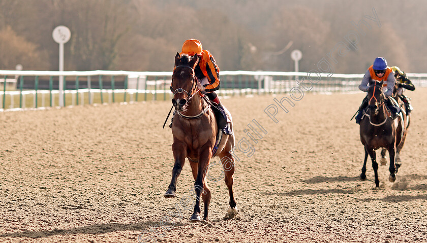 Passionova-0003 
 PASSIONOVA (Shane Kelly) wins The Ladbrokes Watch Racing Online For Free Fillies Novice Stakes
Lingfield 13 Feb 2021 - Pic Steven Cargill / Racingfotos.com