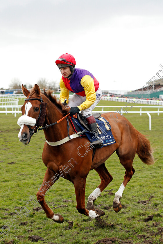 Native-River-0002 
 NATIVE RIVER (Richard Johnson) before The Timico Cheltenham Gold Cup Cheltenham 16 mar 2018 - Pic Steven Cargill / Racingfotos.com