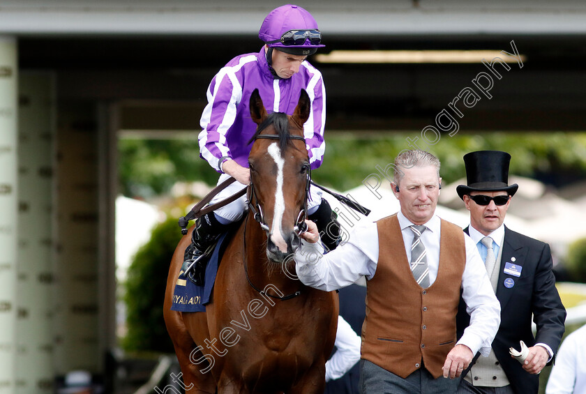 Continuous-0002 
 CONTINUOUS (Ryan Moore)
Royal Ascot 22 Jun 2024 - Pic Steven Cargill / Racingfotos.com