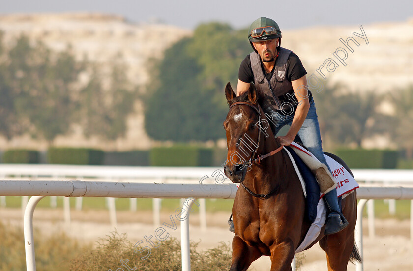 Magny-Cours-0002 
 MAGNY COURS exercising in preparation for Friday's Bahrain International Trophy
Sakhir Racecourse, Bahrain 16 Nov 2021 - Pic Steven Cargill / Racingfotos.com