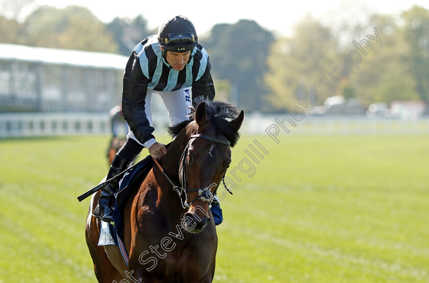 Chindit-0006 
 CHINDIT (Pat Dobbs) winner of The Howden Bloodstock Paradise Stakes
Ascot 3 May 2023 - Pic Steven Cargill / Racingfotos.com