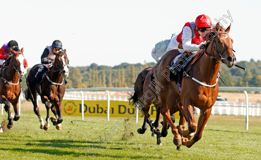 Tritonic-0005 
 TRITONIC (Oisin Murphy) wins The Haynes Hanson & Clark Conditions Stakes
Newbury 20 Sep 2019 - Pic Steven Cargill / Racingfotos.com