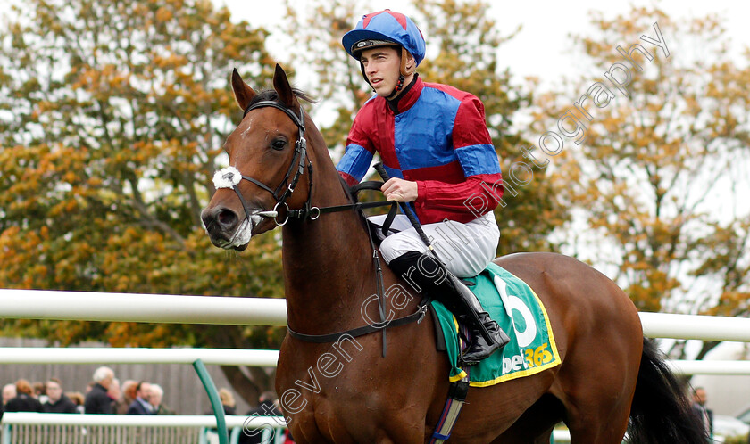 Powerful-Breeze-0002 
 POWERFUL BREEZE (James Doyle)
Newmarket 11 Oct 2019 - Pic Steven Cargill / Racingfotos.com