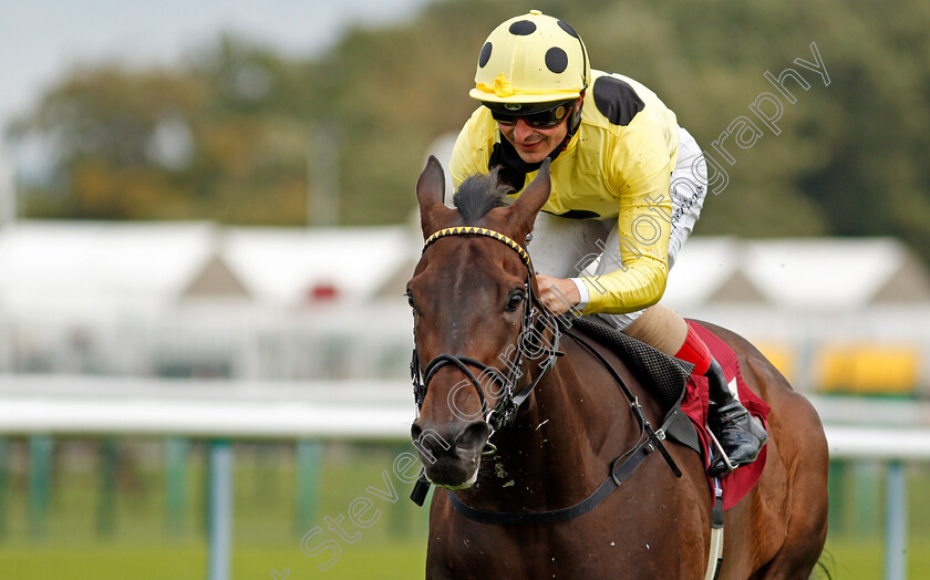 Without-A-Fight-0009 
 WITHOUT A FIGHT (Andrea Atzeni) wins The Read Ryan Moore Columns On Betting.Betfair Handicap
Haydock 3 Sep 2020 - Pic Steven Cargill / Racingfotos.com