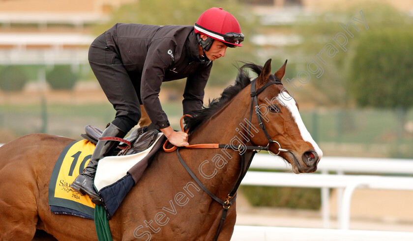 Spirit-Dancer-0003 
 SPIRIT DANCER training for The Neom Turf Cup
King Abdulaziz Racetrack, Saudi Arabia 22 Feb 2024 - Pic Steven Cargill / Racingfotos.com