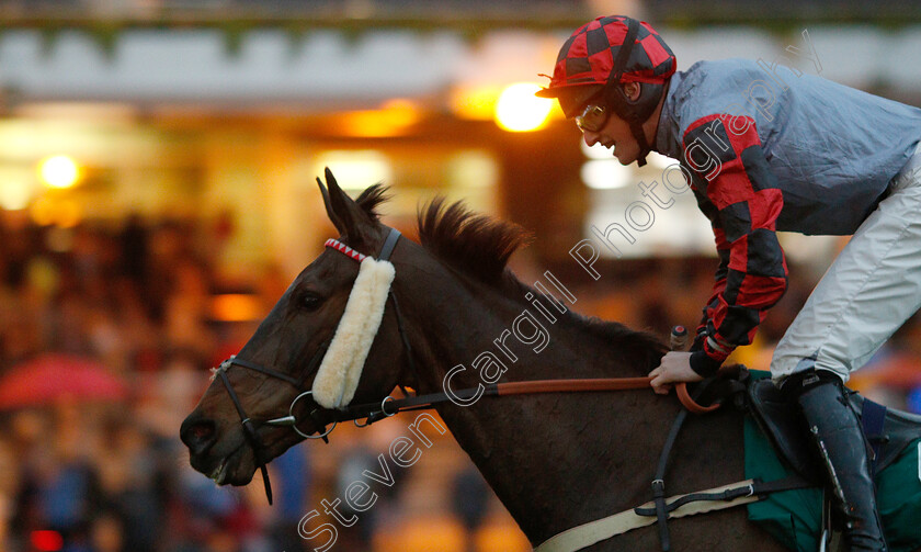 Bishops-Road-0005 
 BISHOPS ROAD (Zac Baker) wins The Junior Jumpers Open Hunters Chase
Cheltenham 3 May 2019 - Pic Steven Cargill / Racingfotos.com