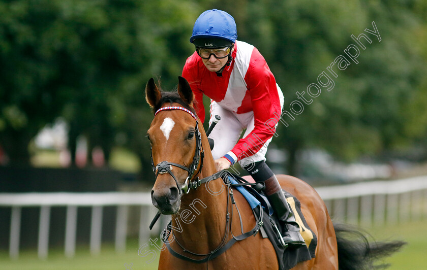 Full-Regalia-0002 
 FULL REGALIA (Robert Havlin)
Newmarket 30 Jun 2023 - Pic Steven Cargill / Racingfotos.com