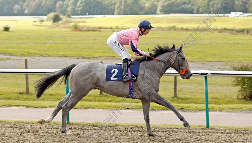 Almuerzo-Loco-0001 
 ALMUERZO LOCO (Pat Dobbs)
Lingfield 3 Oct 2019 - Pic Steven Cargill / Racingfotos.com