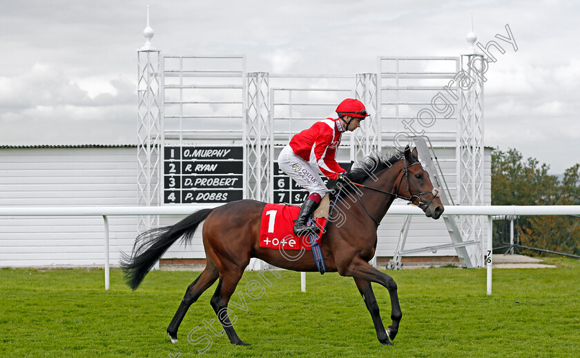 Berkshire-Rebel-0001 
 BERKSHIRE REBEL (Oisin Murphy) winner of The tote EBF Restricted Maiden Stakes
Goodwood 29 Aug 2021 - Pic Steven Cargill / Racingfotos.com