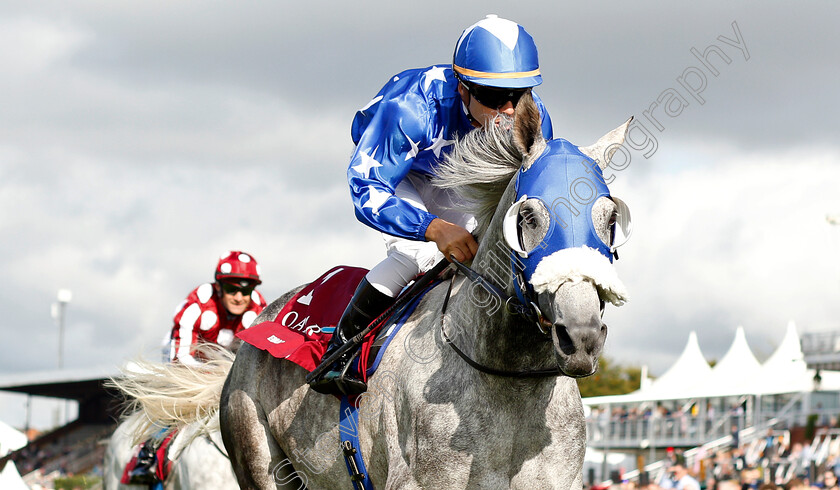 Ebraz-0003 
 EBRAZ (Maxime Guyon) wins The Qatar International Stakes
Goodwood 31 Jul 2019 - Pic Steven Cargill / Racingfotos.com