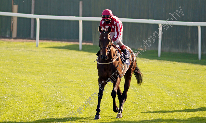 Majd-Al-Arab-0002 
 MAJD AL ARAB (Franny Norton)
Yarmouth 15 Sep 2020 - Pic Steven Cargill / Racingfotos.com