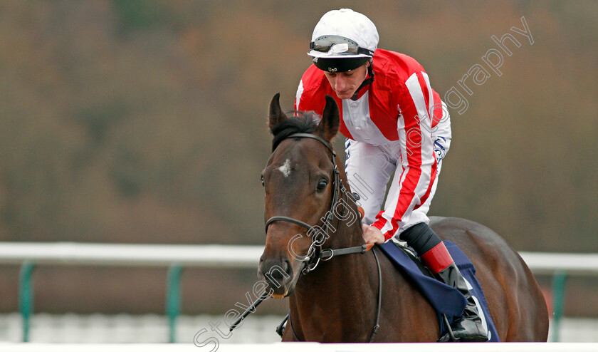 Sanam-0001 
 SANAM (Adam Kirby) Lingfield 6 Dec 2017 - Pic Steven Cargill / Racingfotos.com