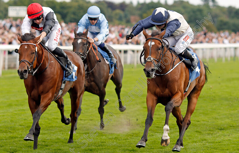 Forbearance-0004 
 FORBEARANCE (right, Hollie Doyle) beats DOMINO DARLING (left) in The British EBF & Sir Henry Cecil Galtres Stakes
York 19 Aug 2021 - Pic Steven Cargill / Racingfotos.com