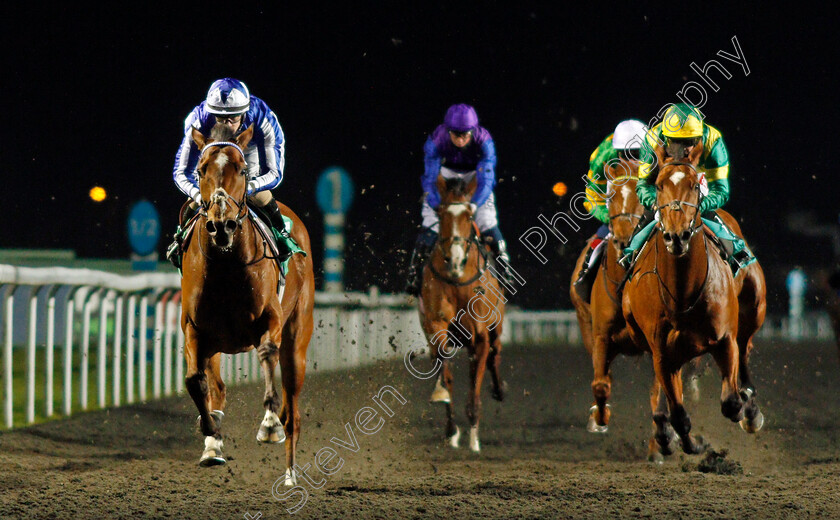 Top-Fox-0004 
 TOP FOX (Richard Kingscote) wins The Unibet Casino Deposit £10 Get £40 Bonus Maiden Stakes
Kempton 24 Feb 2021 - Pic Steven Cargill / Racingfotos.com