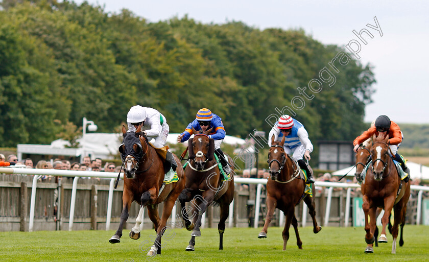 Fairbanks-0004 
 FAIRBANKS (Oisin Murphy) beats ONEFORTHEGUTTER (centre) in The bet365 Trophy
Newmarket 12 Jul 2024 - pic Steven Cargill / Racingfotos.com