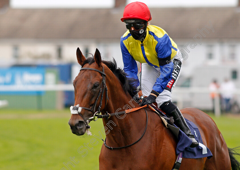 Via-Serendipity-0002 
 VIA SERENDIPITY (Hayley Turner)
Yarmouth 16 Sep 2020 - Pic Steven Cargill / Racingfotos.com