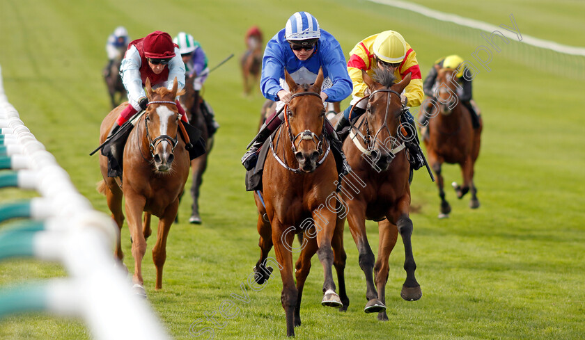 Vera-Verto-0003 
 VERA VERTO (Rob Hornby) wins The British EBF 40th Anniversary Premier Fillies Handicap
Newmarket 7 Oct 2023 - Pic Steven Cargill / Racingfotos.com