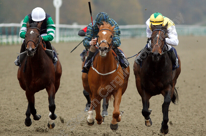 Silca-Mistress-0005 
 SILCA MISTRESS (centre, David Probert) beats HUMAN NATURE (right) and DRAKEFELL (left) in The Betway Sprint Handicap
Lingfield 20 Nov 2018 - Pic Steven Cargill / Racingfotos.com