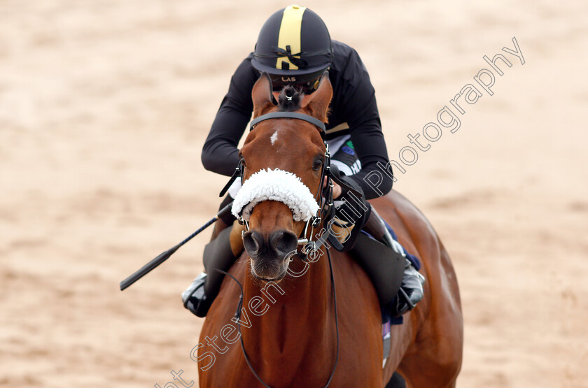 Ranch-Hand-0009 
 RANCH HAND (William Carver) wins The Sky Sports Racing Sky 415 Novice Median Auction Stakes
Southwell 29 Apr 2019 - Pic Steven Cargill / Racingfotos.com