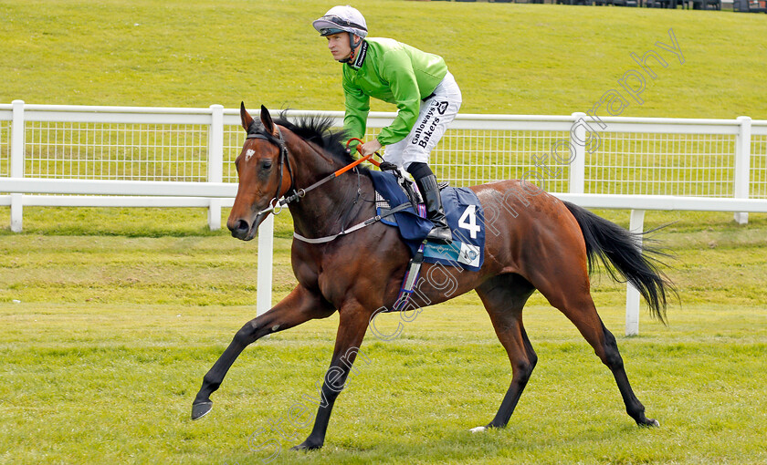 Ursulina-0001 
 URSULINA (Richard Kingscote)
Sandown 25 Jul 2019 - Pic Steven Cargill / Racingfotos.com