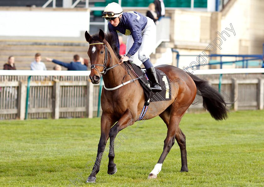 Chop-Chop-0001 
 CHOP CHOP (Kieran Shoemark)
Newmarket 24 Oct 2018 - Pic Steven Cargill / Racingfotos.com