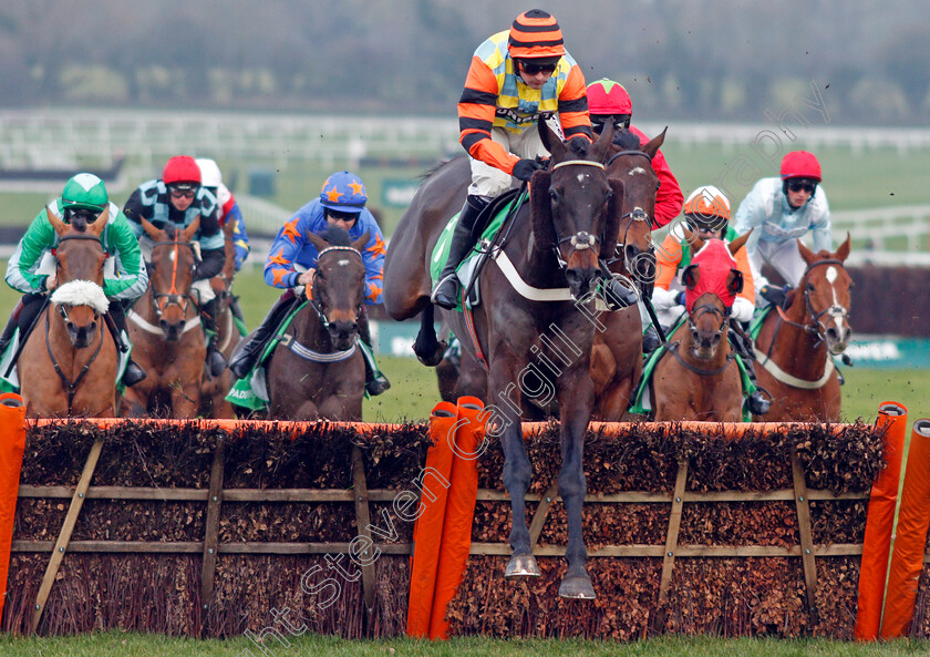 Might-Bite-0002 
 MIGHT BITE (Nico de Boinville)
Cheltenham 1 Jan 2020 - Pic Steven Cargill / Racingfotos.com